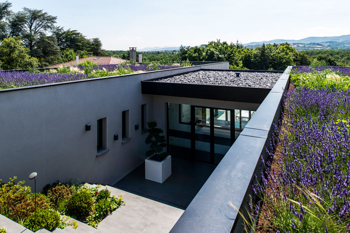 Rainwater-filtering flat roof