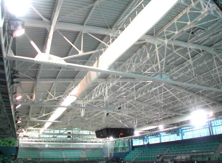 Large roof supporting structure