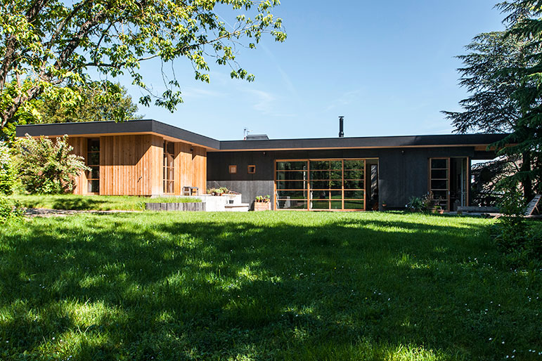 Contemporary house in a park